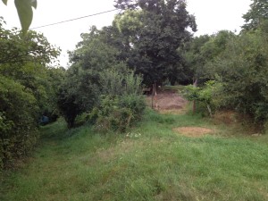 IMG_0498